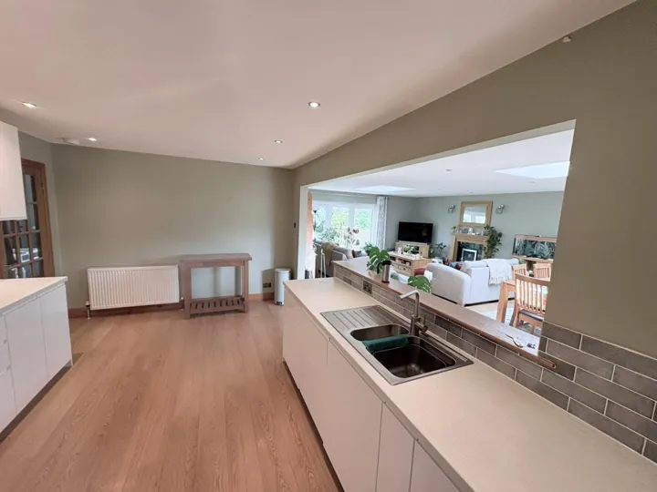 Open-plan kitchen and living space decorated in soft sage green